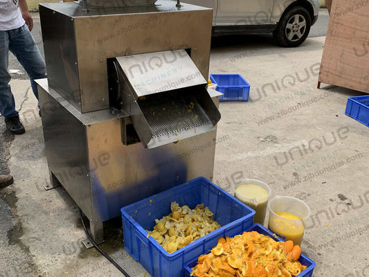 2000-3000 kg/h Capacità Estrattore di succo d'arancia e di limone per succo commerciale fresco