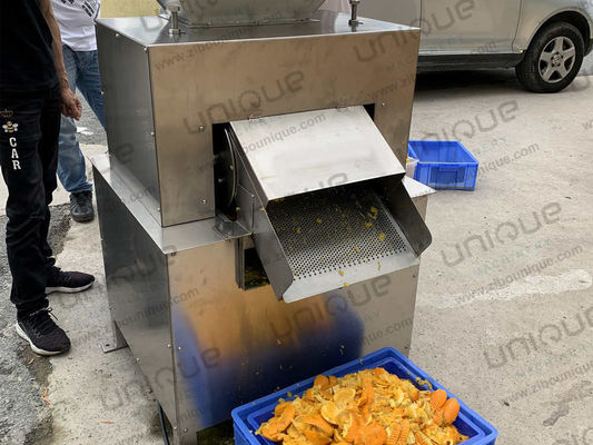 Estrattore elettrico automatico di frutta in acciaio inossidabile 304 per succo di pomodoro di ananas