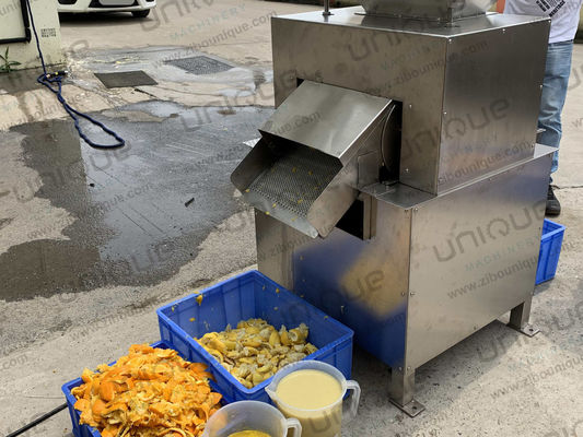 Estrattore elettrico automatico di frutta in acciaio inossidabile 304 per succo di pomodoro di ananas