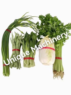 Facile da utilizzare macchina di legatura a banda a induzione automatica per legare alimenti e verdure