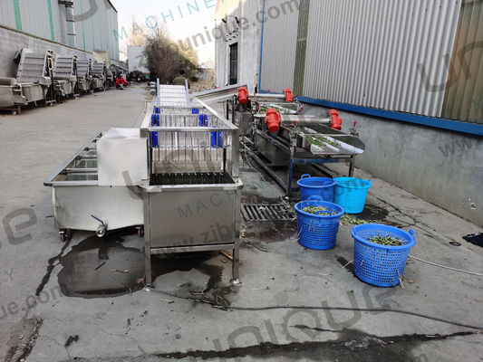 Progettazione della lavastoviglie a bolle di alfalfa / micro verdi per negozi di alimenti e bevande