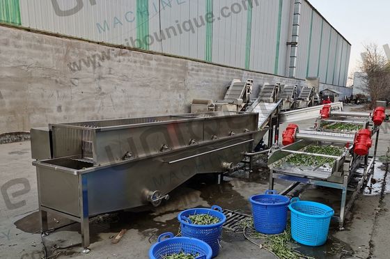 Progettazione della lavastoviglie a bolle di alfalfa / micro verdi per negozi di alimenti e bevande