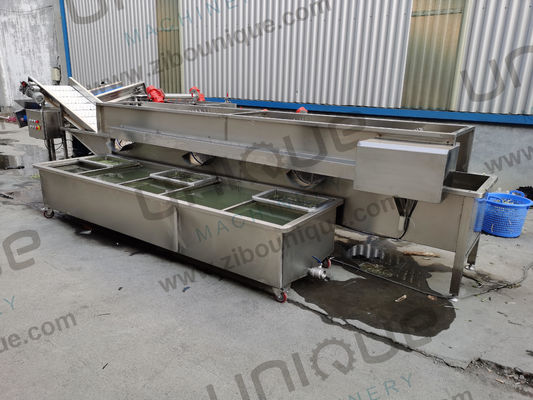 Progettazione della lavastoviglie a bolle di alfalfa / micro verdi per negozi di alimenti e bevande