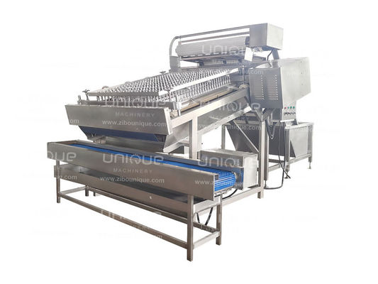 4kw Automatic Shrimp Head Shell Removing Peeling Machine Trasformazione negozi di alimenti e bevande
