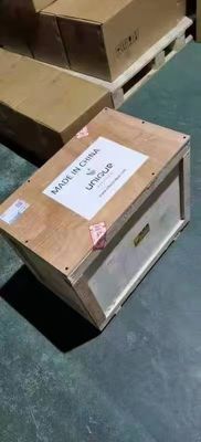 Vendita al dettaglio di sedano di ortaggi Fagioli di giardino con nastri multiuso