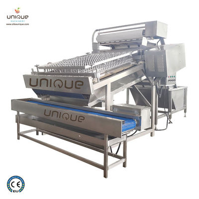 3600*2260*2200 mm Macchina automatica per pelare i gamberetti e i frutti di mare per una lavorazione rapida