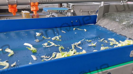 Lavatrici industriali di frutta e verdura in acciaio inossidabile