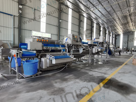 La lavorazione delle insalate ha reso facile la lavatrice di verdure per bambini Spinaci Lattuga Cavoli