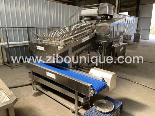 300 kg/h Macchina per la depollazione di gamberetti Macchina per la pulizia della soluzione di depollazione di gamberetti