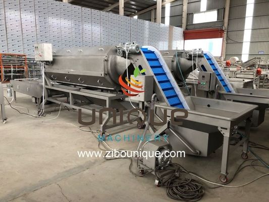 380V Good Effect Washing Peeling Vegetables Machine per la lavorazione su larga scala di ortaggi