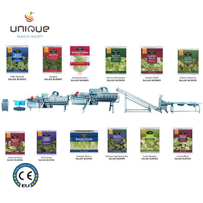 2021 Style Vegetable Fruit Helix Washing Processing Line per applicazioni commerciali
