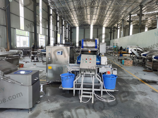 La lavorazione delle insalate ha reso facile la lavatrice di verdure per bambini Spinaci Lattuga Cavoli