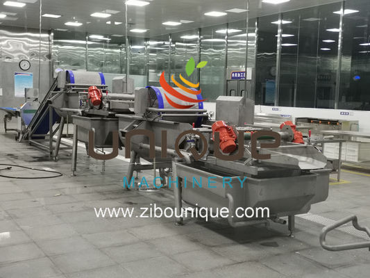 2021 Style Vegetable Fruit Helix Washing Processing Line per applicazioni commerciali