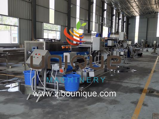 Uso commerciale Linea di lavaggio del tè verde per la lavorazione delle foglie di tè del Myanmar da Zibounique