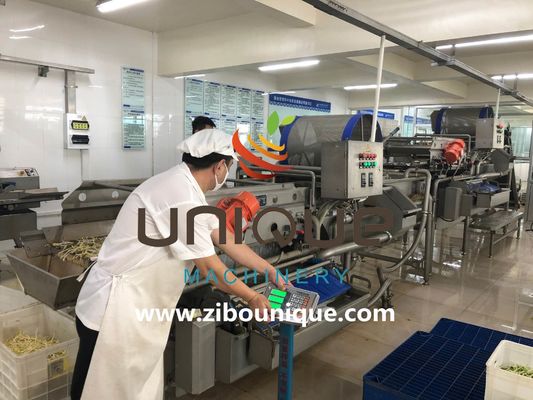 Uso commerciale Linea di lavaggio del tè verde per la lavorazione delle foglie di tè del Myanmar da Zibounique