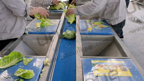 2021 Style Vegetable Fruit Helix Washing Processing Line per applicazioni commerciali