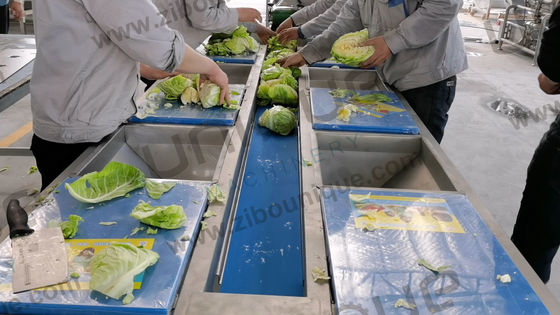 Linea di lavaggio di insalate di frutta e verdura con efficienza di lavorazione di 5000 kg