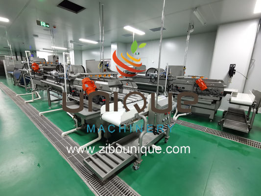 Linea di lavaggio di insalate di frutta e verdura con efficienza di lavorazione di 5000 kg