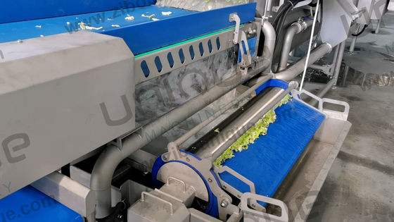 Lavatrici industriali di frutta e verdura in acciaio inossidabile