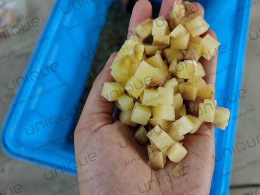 Macchine per il taglio di ortaggi in acciaio inossidabile 304 multifunzione per applicazioni industriali