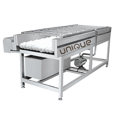 Lavatrice a rulli a spazzola a spirale continua per ortaggi e frutta con apparecchiatura di pulizia