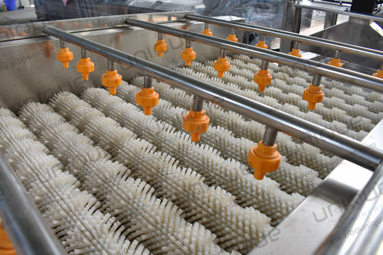 Funzione Lavaggio di frutta e verdura Macchina per il lavaggio di molluschi e molluschi per frutti di mare