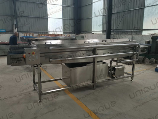 450 kg di cipolla verde porro alta pressione spruzzatura lavanderia macchina da pulizia a prezzi accessibili