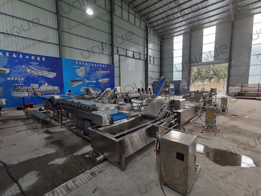 450 kg di cipolla verde porro alta pressione spruzzatura lavanderia macchina da pulizia a prezzi accessibili