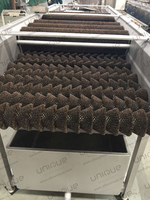 Lavatrice a rulli a spazzola per verdure, carote, patate, zenzero per lavaggio e pulizia