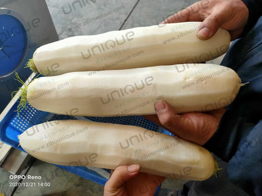 220V tensione in acciaio inossidabile automatico per la scorzazione delle radici di ortaggi Mooli