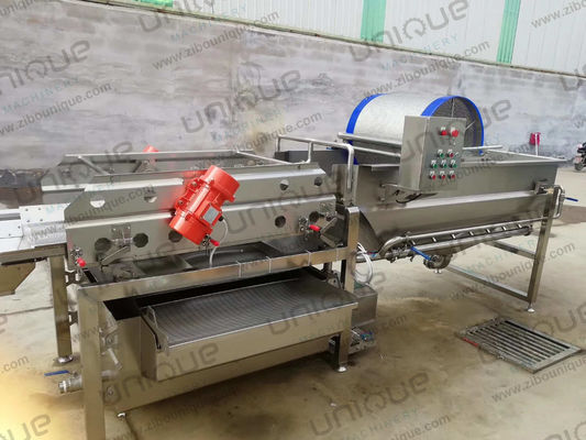 Lavatrici industriali di frutta e verdura in acciaio inossidabile