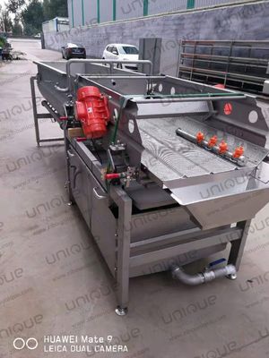 Alta capacità 2000 kg/h Macchine per taglio di ortaggi cavoli lattuga lavaggio