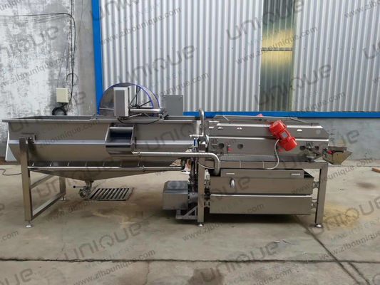 220v/ 380v/ Lavatrice a elica di insalate personalizzata per le aziende agricole
