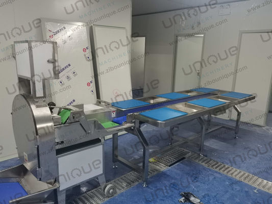 600-1500 kg/h Capacità Macchine per tagliare le verdure a foglia Tagliatrici a cintura per ortaggi