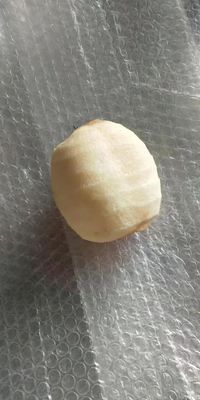 Funzione di pelazione dei frutti Apparecchio elettrico commerciale per la pelazione delle mele Corer Slicer 2500*1000*1500 mm