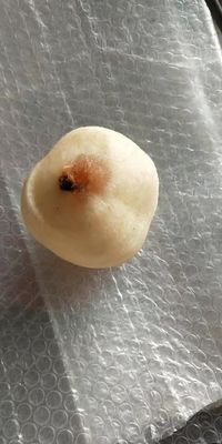 500 KG Macchina di pelaggio e depilazione completamente automatica per frutta industriale, mela, pera, kiwi, per il 2022