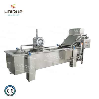 850 kg di capacità di lavaggio a bolle di foglie di ortaggi per la produzione di impianti di produzione