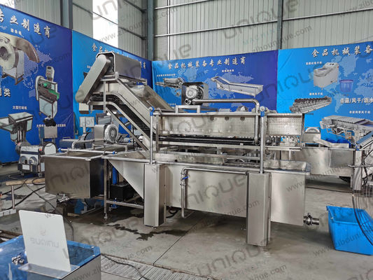 850 kg di capacità di lavaggio a bolle di foglie di ortaggi per la produzione di impianti di produzione