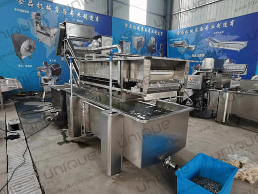 850 kg di capacità di lavaggio a bolle di foglie di ortaggi per la produzione di impianti di produzione