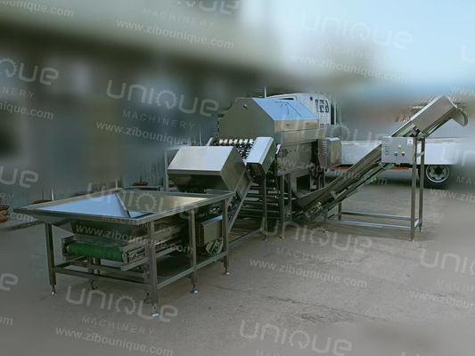 3000 kg/h Peeler per la pelle di cipolle per ortaggi e acciaio inossidabile 304 in industria