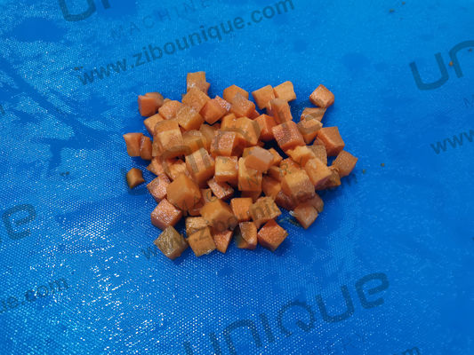 Acciaio inossidabile 304 Macchine per tagliare le patate e le verdure Macchine per tagliare le verdure Tagliatrice 0,75kw