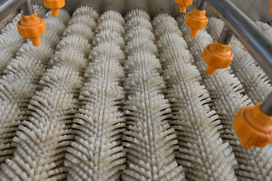 3000*1250*1350 mm Lavatrice di patate dolci per la trasformazione alimentare