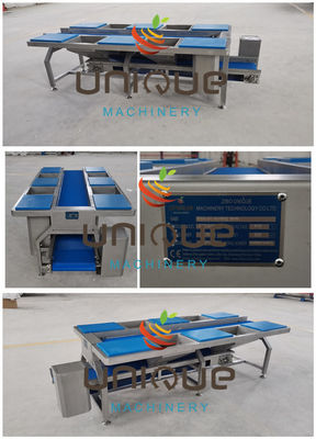 Tavola e trasportatori per la selezione dei vegetali in acciaio inossidabile Tavola di preparazione dei vegetali 0,74 kW