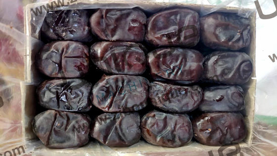 Utilizzo commerciale Macchina di pulizia automatica per spazzole con spazzola morbida