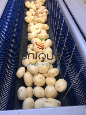 1.75 kw Facile a usare Ginger Carrot Potato Brush Roller Washer Root Vegetable Washing Machine
