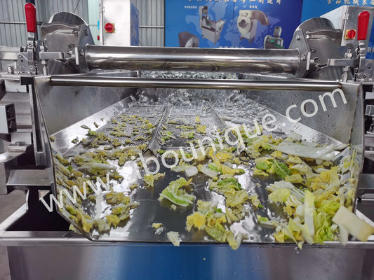 Lavatrice di cavoli in acciaio inossidabile da 4,4 kW per la sterilizzazione di verdure e insalate
