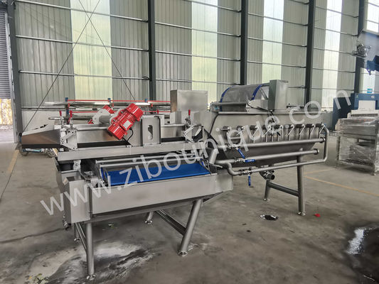 Lavatrice di cavoli in acciaio inossidabile da 4,4 kW per la sterilizzazione di verdure e insalate