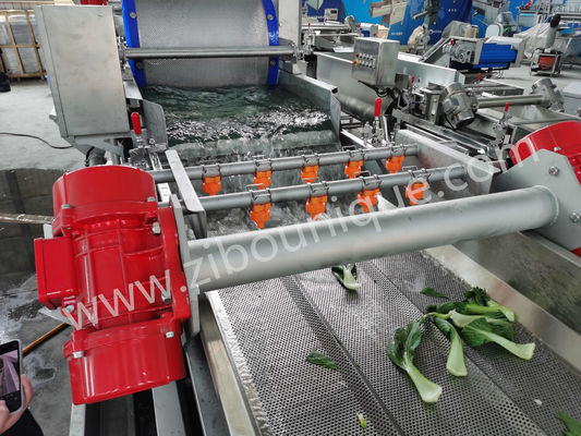 Lavatrice di cavoli in acciaio inossidabile da 4,4 kW per la sterilizzazione di verdure e insalate