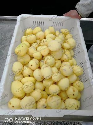 Macchina di lavaggio e sbucciatura di patate a tensione personalizzata per le industrie alimentari