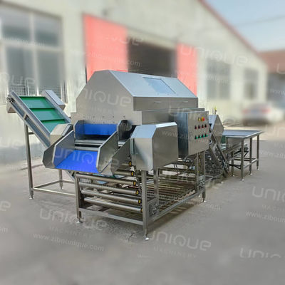 Macchine per pelare le cipolle per ortaggi industriali